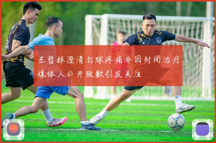 王哲林澄清打球疼痛非因封闭治疗媒体人公开致歉引发关注